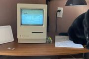 「我最喜歡的電腦，是一臺 31 年前的舊 Mac」