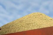 拉尼娜現象來襲，澳洲水稻「躲不掉」！被迫推遲播種，恐出現大米短缺