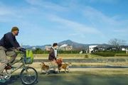 在日本騎腳踏車，規矩太多了