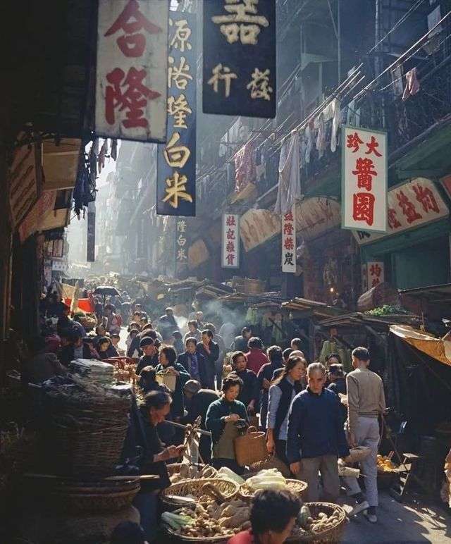 何藩：香港，1950-60年代