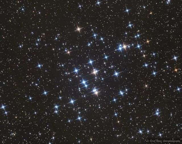 M44蜂巢星團 / Drew Evans