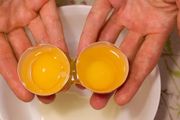 「無菌蛋」不等於無菌！高價「無菌蛋」是智商稅嗎？