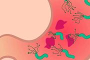 感染幽門螺桿菌，就會得胃癌嗎？