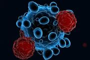 為了逃避免疫攻擊，癌細胞又出新招！Cancer Cell 發現連膠原蛋白也「叛變」了……