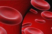 炎症的危害或可伴隨一生！Cell Stem Cell：造血幹細胞會發生不可逆的損傷並加速衰老