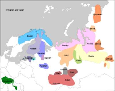烏拉爾語族，匈牙利語（左下方綠色）為「孤島」