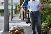 別人遛狗我遛龜：那個每天遛龜的日本老人背後是這樣的感人故事