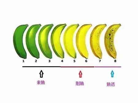 香蕉的儲存方法