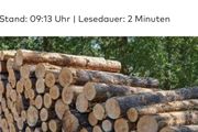 【德國】越來越多森林木材失竊，損失已達數百萬歐元