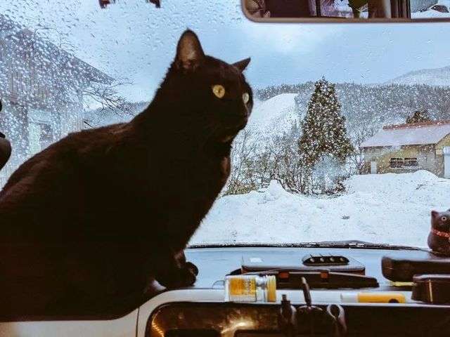 大雪時還是躲在車裡欣賞美景吧