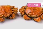 孕婦能吃螃蟹嗎？嬰兒能吃螃蟹嗎？