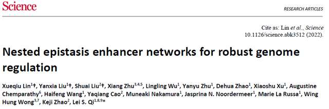 Science丨亓磊團隊揭示增強子嵌套多層結構調節基因組 - VITO雜誌