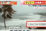 日本遭受超強颱風席捲，百萬日本網友卻在圍觀一棵椰子樹