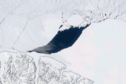 冰間湖，或稱其為冰中裂縫，將是一個不好的跡象