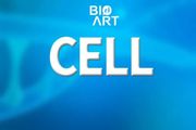 Cell | 複製壓力——破壞人類胚胎染色體分離和著床前發育的「罪魁禍首」
