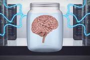 科學家挖出一小碟人腦教它打遊戲，5分鐘上手吊打AI