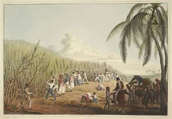 反映19世紀上半葉西印度群島的種植園經濟的油畫