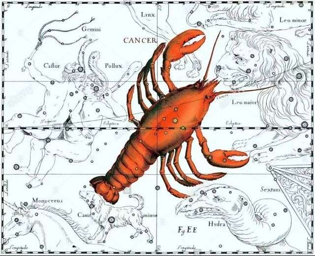赫維留星圖中的巨蟹座
