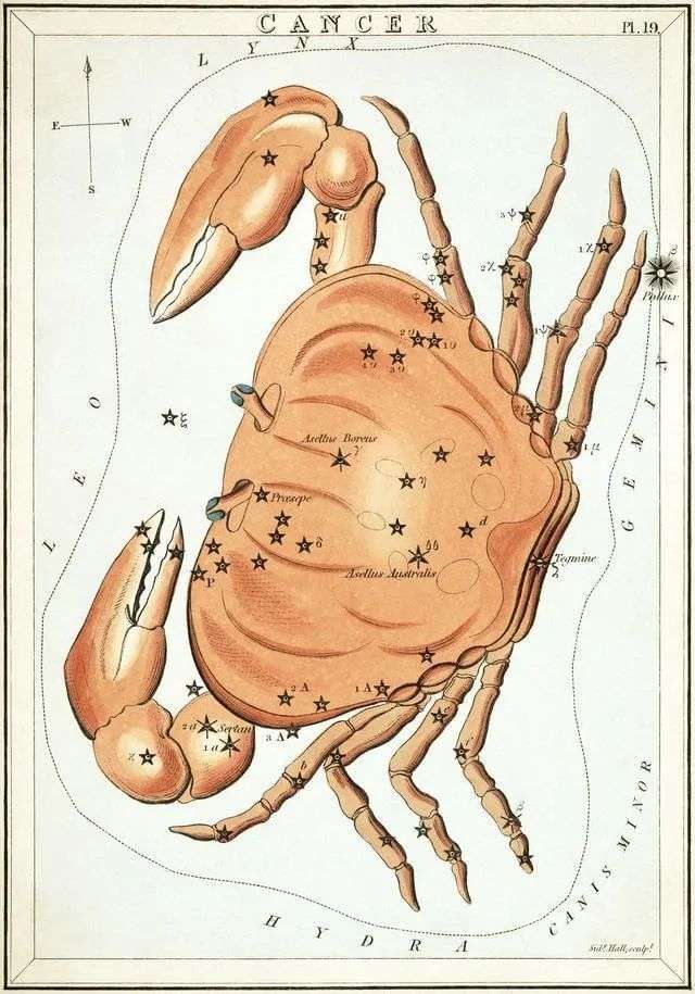 中國先民將組成巨蟹座「蟹蓋」的四顆星稱為