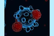 Nature Cancer：癌症免疫療法可能會損害生育能力