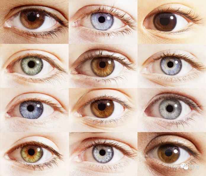 你最愛哪一雙眼睛？