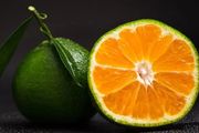 CNS：柑橘纖維中的這種物質，可減少脂肪儲存；無需藥物的新止痛方法來了