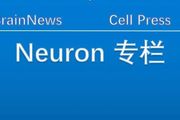 Neuron：心血管壓力反射回路「越俎代庖」控制睡眠？
