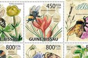 昆蟲生態郵票——記錄自然生態下昆蟲的最美瞬間