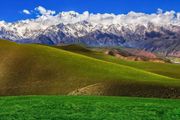 踐行「兩山」理念 建設美好新疆丨以「生態美」推動「共同富」