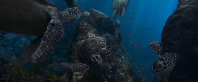 暗藍色的深海，奔湧而出的海龜…