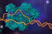 CRISPR十週年：生命細葉誰裁出？