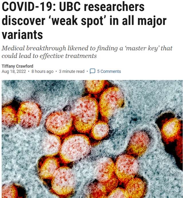 加拿大科学家发现新冠病毒弱点 万能钥匙 对抗所有变种 不怕变异了 Vito杂志