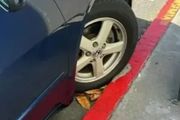 突然遭遇刷紅禁停，舊金山男子停車25年首接罰單！