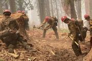 優勝美地山火竟是「人為所致」！火勢凶猛，過火面積3700英畝，千名消防員僅撲滅17%
