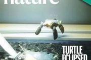 「美人魚」機器人登上Nature封面：入水瞬間四肢變腳蹼，首席編輯：按需進化