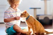 過敏性疾病的孩子能養貓/狗嗎？