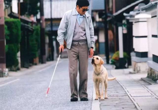 電影：導盲犬小Q
