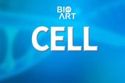 Cell | 薛天/鮑進團隊揭示光感知促進腦發育的神經機制