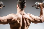 健身如何練背？5個練背動圖，幫你塑造寬闊厚實的背肌！