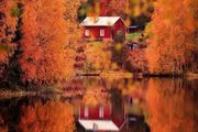 總結最美的秋季攝影作品，驚豔了！開啟今秋之拍吧！
