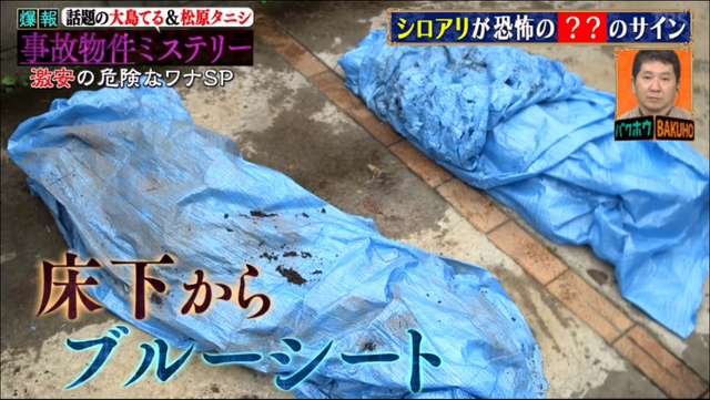 泥土下發現兩個超大的藍色防水布袋！