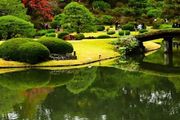 在這座日本庭園，聆聽中日千年詩韻