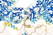 通用蛋白質設計新方法，Google研究團隊：具有分層功能的從頭蛋白質設計的條件生成建模