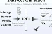 SARS-CoV-2感染與新發糖尿病之間驚人的聯繫