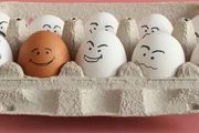 一天能吃幾個雞蛋？哪種顏色的雞蛋營養好？一文說清雞蛋那些事