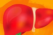 注意：肝功正常不代表肝臟正常「讀懂體檢」