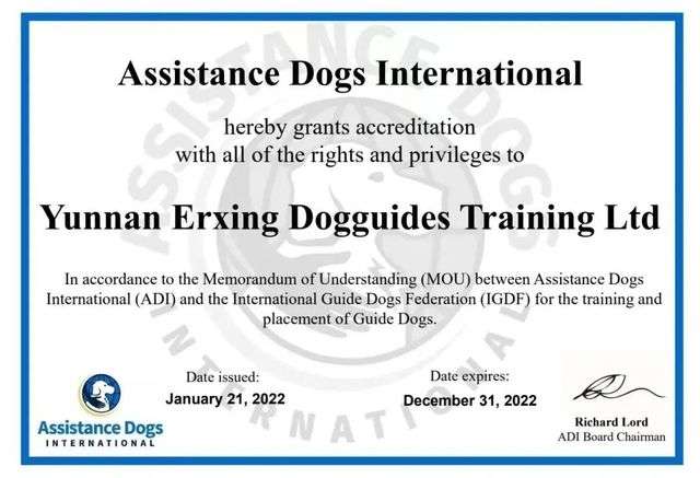 國際輔助犬組織