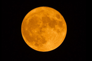 什麼是金秋滿月？它多久出現一次？本文為你解答